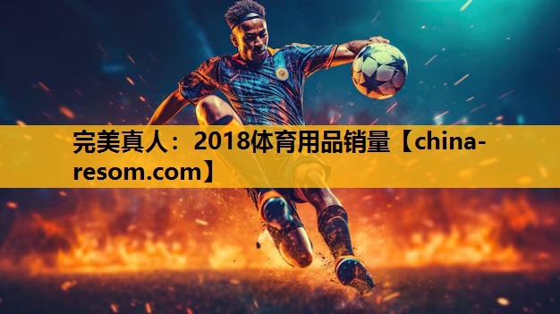 完美真人：2018体育用品销量