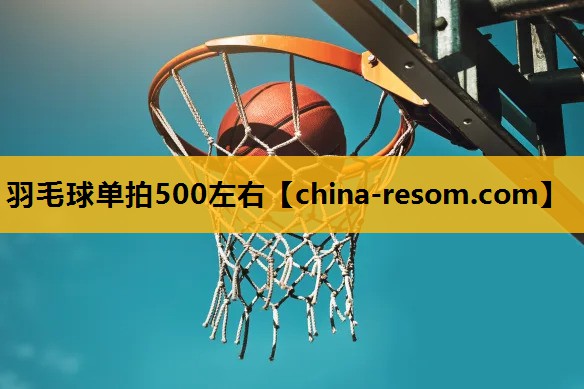 羽毛球单拍500左右
