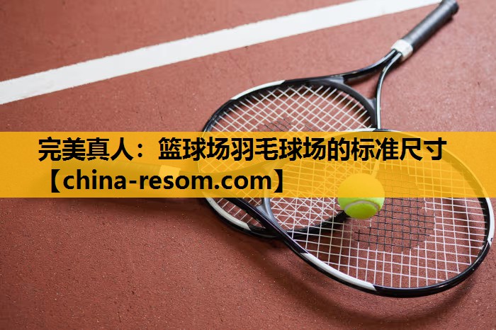 完美真人：篮球场羽毛球场的标准尺寸