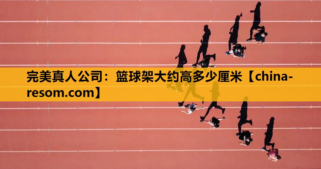 完美真人公司：篮球架大约高多少厘米