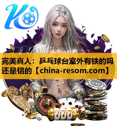 乒乓球台室外有铁的吗还是铝的