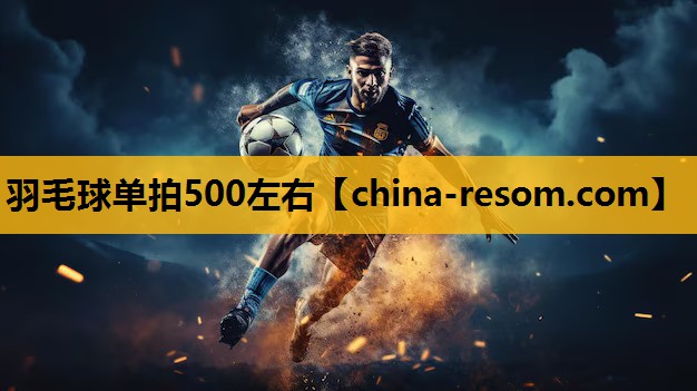 羽毛球单拍500左右