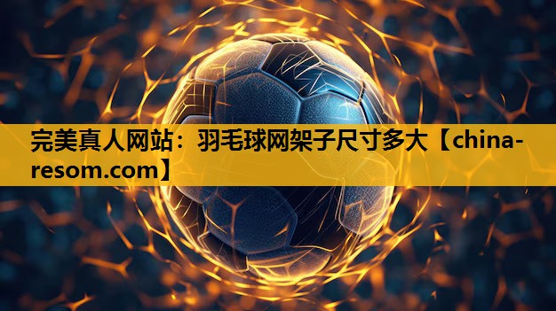 羽毛球网架子尺寸多大