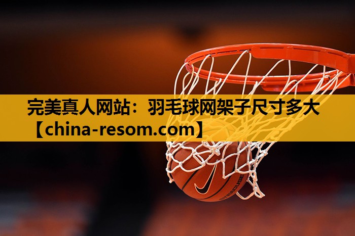 羽毛球网架子尺寸多大